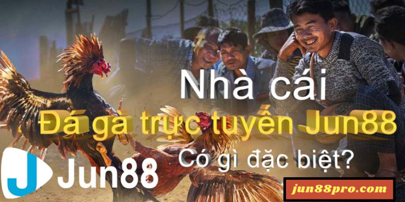 đá gà trực tiếp