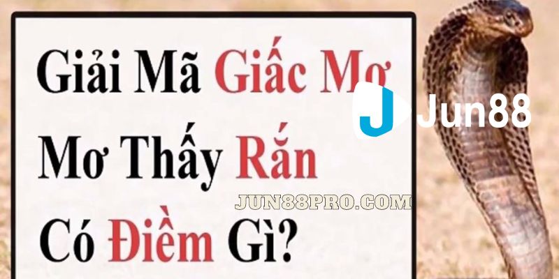 nằm mơ thấy rắn đánh số gì