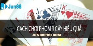 cách chơi phỏm 9 cây