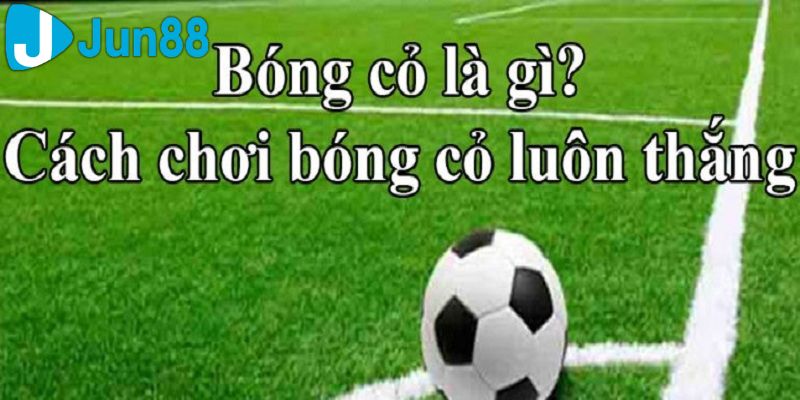 kinh nghiệm chơi bóng cỏ