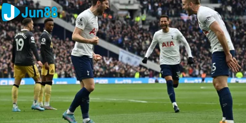 soi kèo newcastle vs tottenham